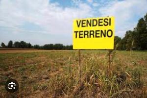 Terreno agricolo - orto irriguo