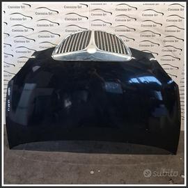 Cofano Motore Anteriore LANCIA Ypsilon I 51872629