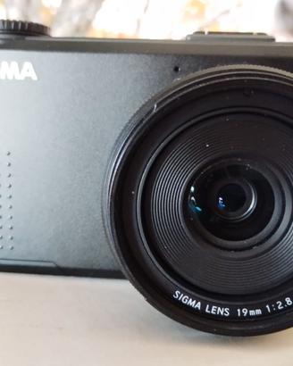SIGMA DP1 MERRILL