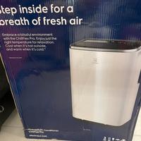 Condizionatore Pinguino Electrolux