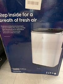 Condizionatore Pinguino Electrolux