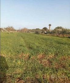 Terreno Agricolo 