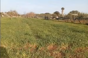 Terreno Agricolo 
