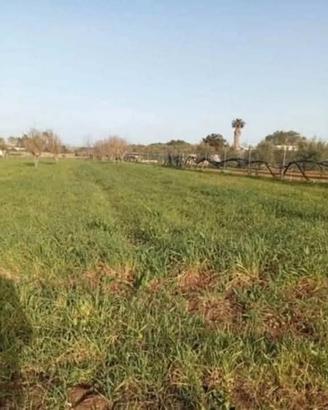 Terreno Agricolo 