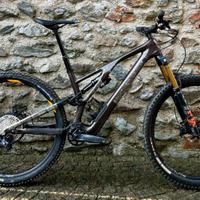 Specialized Stumpjumper EVO carbon
