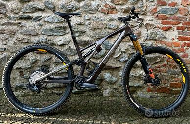 Specialized Stumpjumper EVO carbon