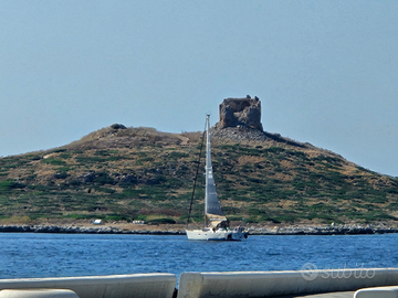 Barca a vela "Jeanneau 34 Sunrise" family