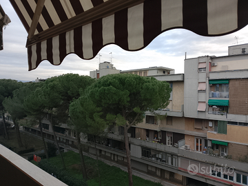 Gavinana viale Europa