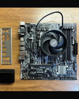 Bundle SCHEDA MADRE Asus A320M-A + CPU Ryzen5 1600