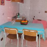 Si offre camere in appartamento