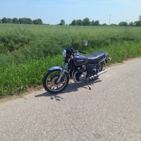 Z650 Z 650 da vetrina