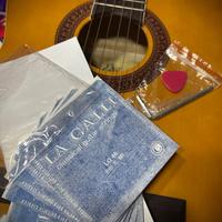 Chitarra classica Eko