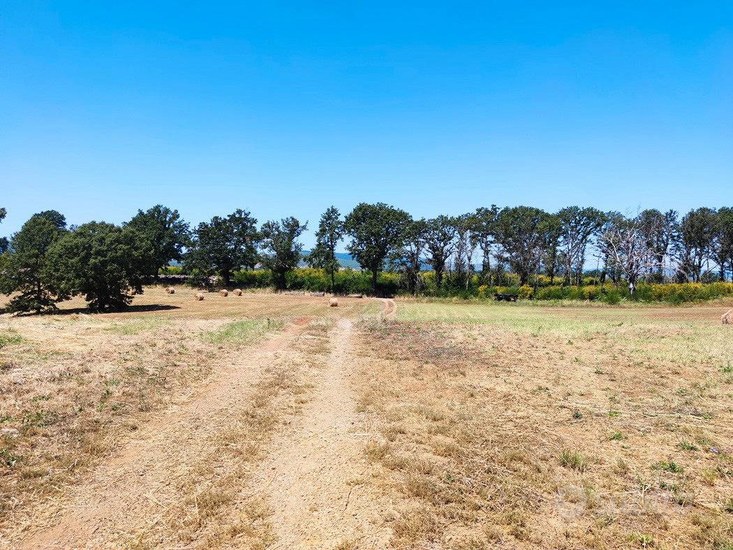 Terreno agricolo con casale e magazzino - Vista 3