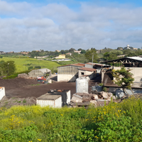 Impianto smaltimento rifiuti Legno