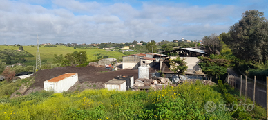 Impianto smaltimento rifiuti Legno