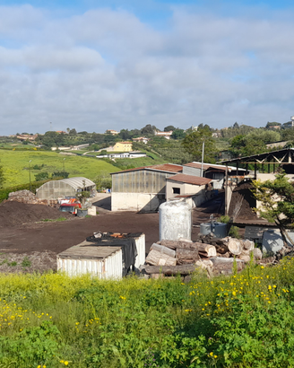 Impianto smaltimento rifiuti Legno