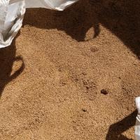 Biomassa  nocciolino di oliva