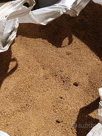 Biomassa  nocciolino di oliva