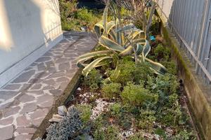 Vendita Casa Indipendente