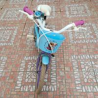 Bicicletta  bambina Frozen  