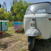 Ape Piaggio Mp500 del 1970