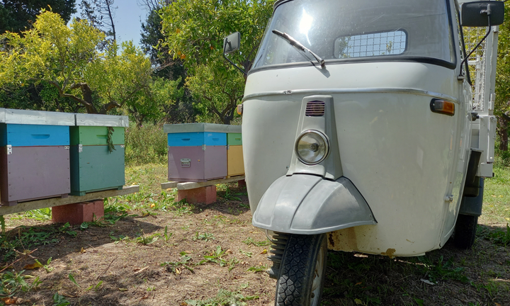 Ape Piaggio Mp500 del 1970