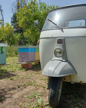 Ape Piaggio Mp500 del 1970