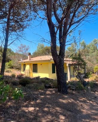Scivu -Villetta libera su 4 lati immersa nel verde