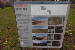 Terreno con Casolare Cercemaggiore