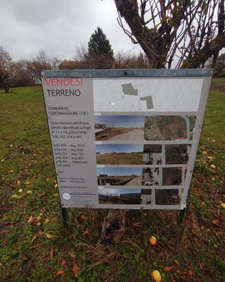 Terreno con Casolare Cercemaggiore