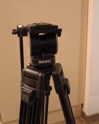 cavalletto 