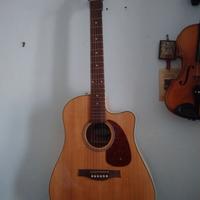Chitarra acustica elettrificata Seagull