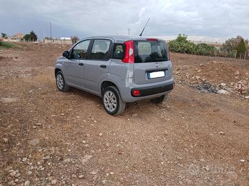 Fiat Panda 3a serie