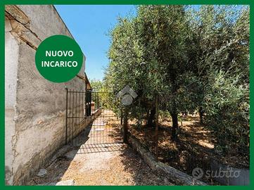 TER. AGRICOLO A BAGHERIA