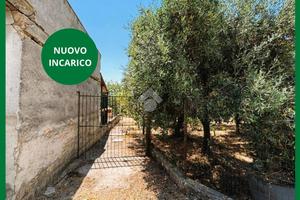 TER. AGRICOLO A BAGHERIA