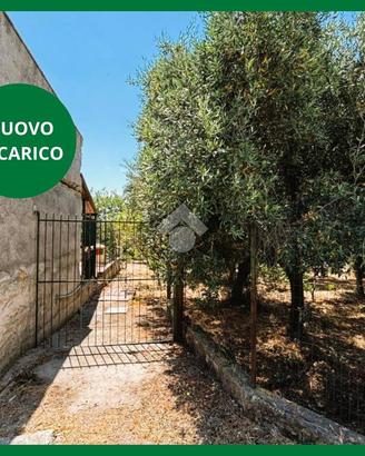 TER. AGRICOLO A BAGHERIA