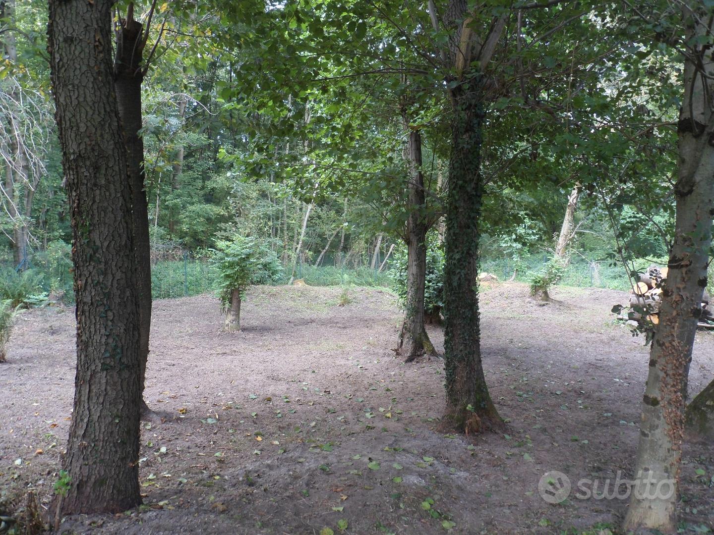 Edificabile comm/art/res. con altri 1100mq bosco - Vista 3