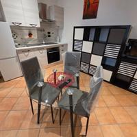 Monolocale arredato 35mq via Galeotti Bologna