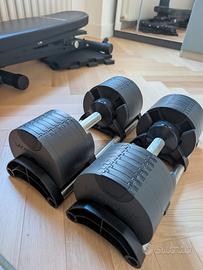 Manubri Regolabili Lacertosus Selektor 2-32 Kg

