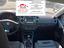 Immagine 7