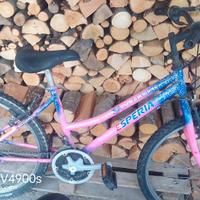 Bicicletta
