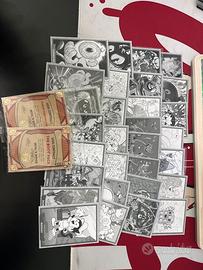 30 concept + 2 contract