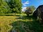 Immagine 19