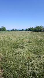 Terreno seminativo 12 pertiche bergamasche