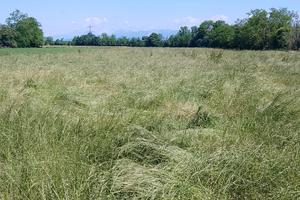 Terreno seminativo 12 pertiche bergamasche