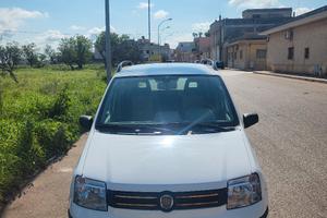 FIAT PANDA MOD. ACTIVE 1.3 MULTIJET
