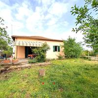 CASA INDIPENDENTE A FALERIA