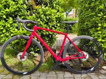 FOCUS PARALANE 9.8 Rossa Tg. 51