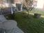 Immagine 13