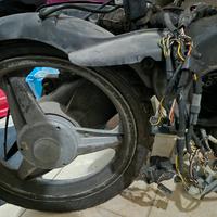 Motore piaggio free 50cc